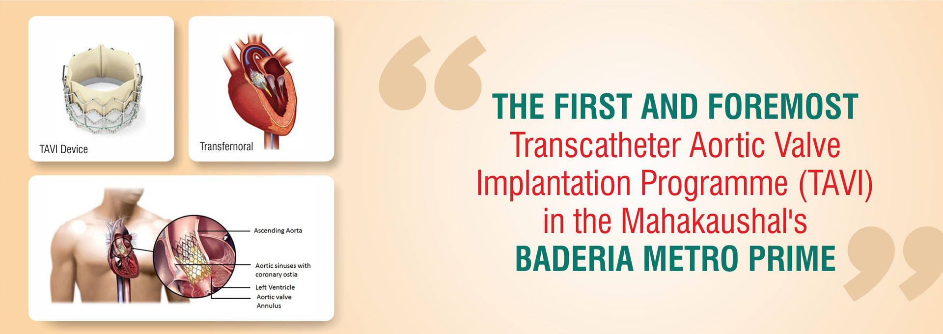 heart_slider1 heart_slider1