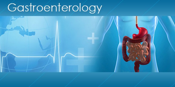 Nullam euismod commodo