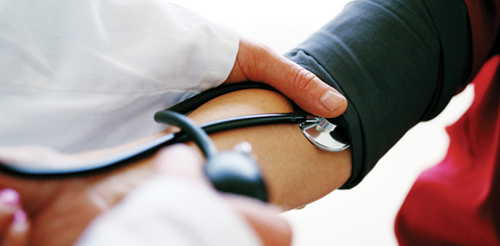 Nullam euismod commodo