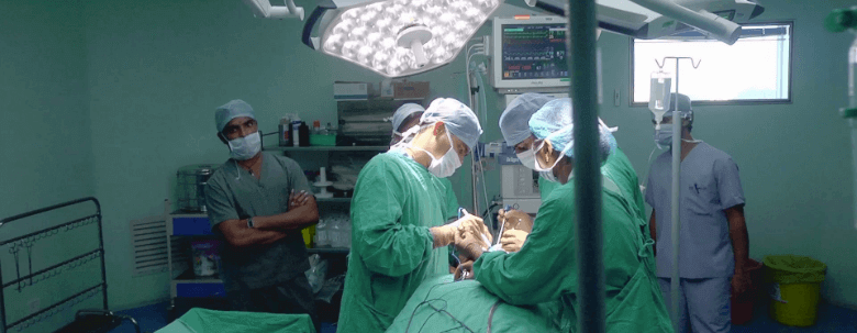 Nullam euismod commodo