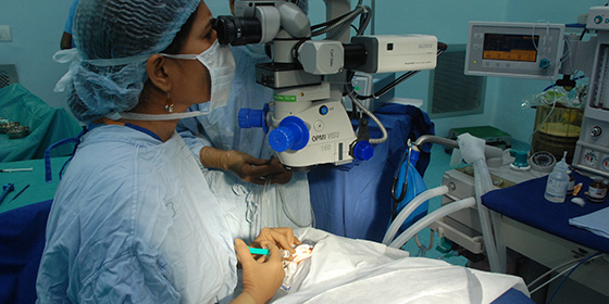 Nullam euismod commodo