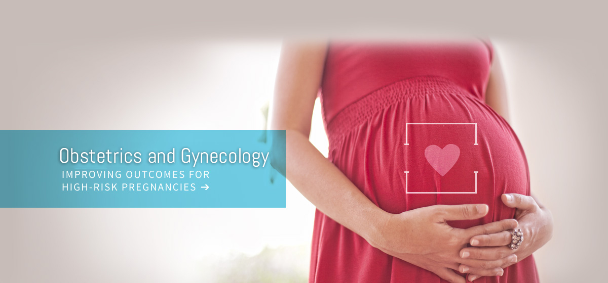 Nullam euismod commodo